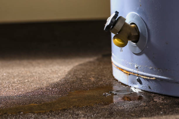 Best Flood restoration services  in Huron, OH