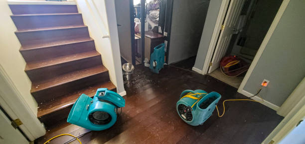 Best Flood restoration services  in Huron, OH