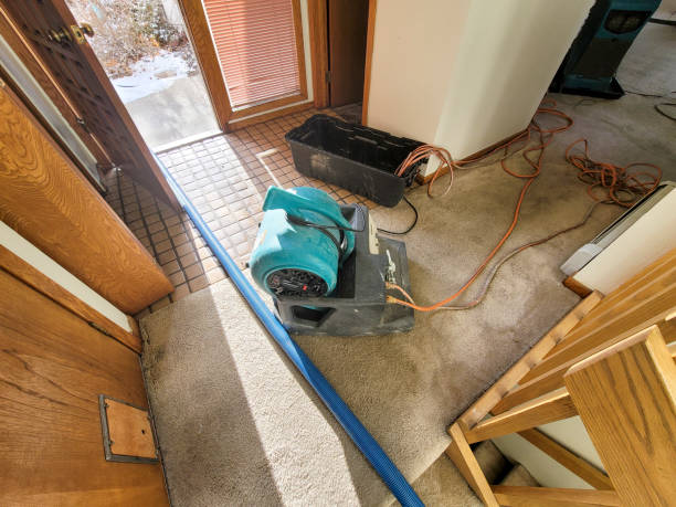 Best Ceiling water damage repair  in Huron, OH