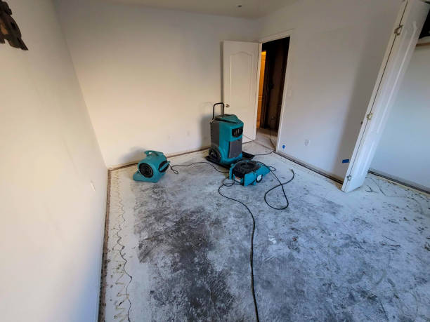 Best Carpet water damage restoration  in Huron, OH