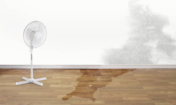 Best Fire Damage Restoration  in Huron, OH