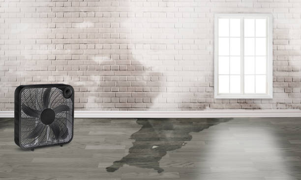 Best Water damage restoration near me  in Huron, OH