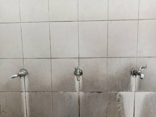 Best Commercial water damage restoration  in Huron, OH