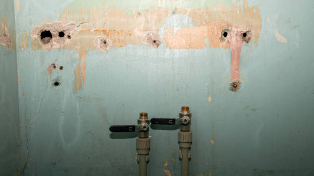 Best Ceiling water damage repair  in Huron, OH
