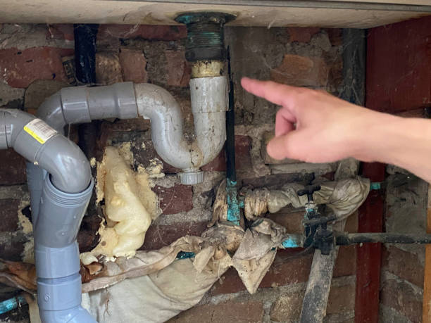 Best Water damage contractors near me  in Huron, OH