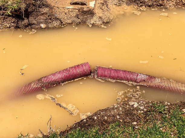 Best Water damage contractors near me  in Huron, OH